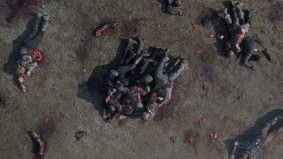 twd0804-0364.jpg