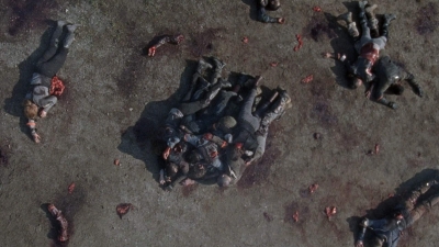 twd0804-0365.jpg