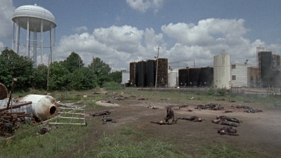 twd0804-0491.jpg