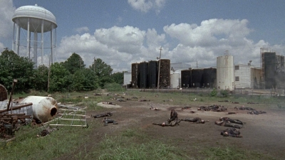 twd0804-0492.jpg