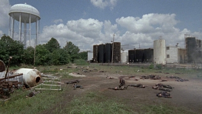 twd0804-0493.jpg
