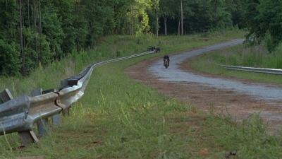 twd0804-2006.jpg