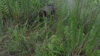 twd0804-2041.jpg