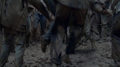 twd0804-2216.jpg