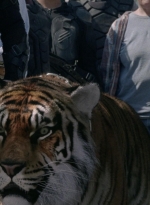 twd0804-0181.jpg