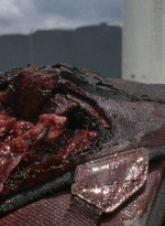 twd0804-0376.jpg