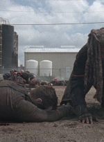 twd0804-0452.jpg