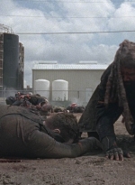 twd0804-0453.jpg
