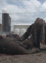twd0804-0454.jpg