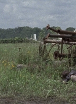 twd0804-0531.jpg