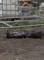 twd0804-0532.jpg