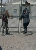 twd0804-1461.jpg
