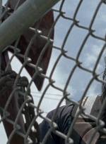 twd0804-1464.jpg
