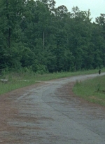 twd0805-1921.jpg