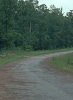 twd0805-1923.jpg