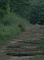twd0805-2543.jpg
