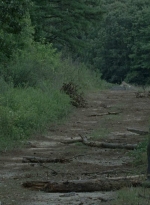 twd0805-2544.jpg