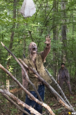 S08E06 - The King, the Widow and Rick
