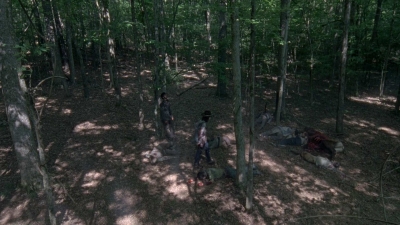 twd0806-1722.jpg