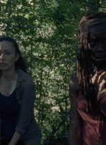 twd0806-1080.jpg