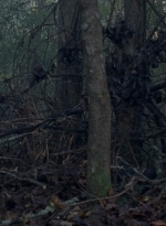 twd0806-1582.jpg