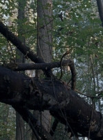 twd0806-1594.jpg