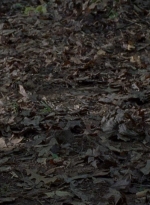 twd0806-1595.jpg