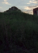 twd0806-2540.jpg