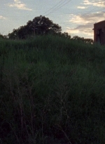 twd0806-2541.jpg