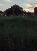 twd0806-2542.jpg