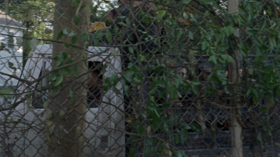twd0807-2576.jpg