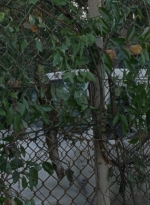 twd0807-2574.jpg