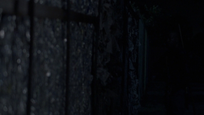 twd0808-3287.jpg