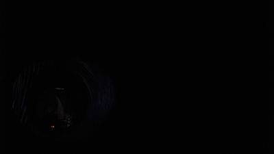 twd0808-3837.jpg