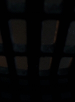 twd0808-2681.jpg