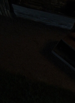 twd0808-3231.jpg