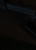 twd0808-3234.jpg