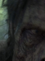 twd0809-0112.jpg