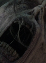 twd0809-0113.jpg