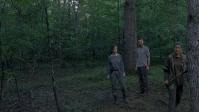 twd0810-1034.jpg
