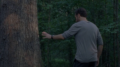 twd0810-1136.jpg