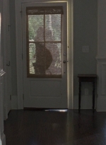 twd0810-0232.jpg