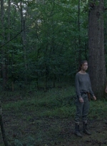 twd0810-1037.jpg