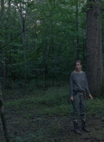 twd0810-1038.jpg
