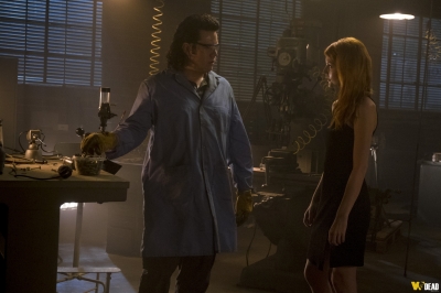 S08E11 - Dead or Alive Or
