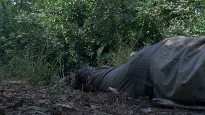 twd0811-0134.jpg