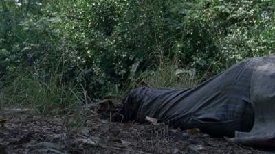twd0811-0135.jpg