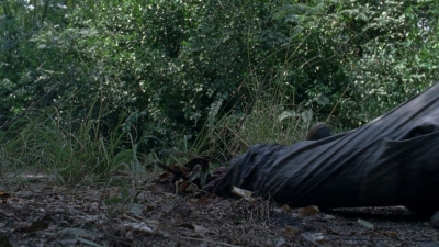 twd0811-0136.jpg