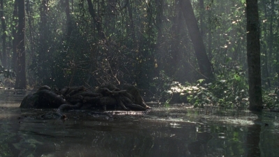 twd0811-1274.jpg