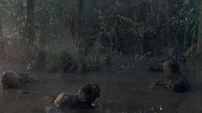 twd0811-1314.jpg
